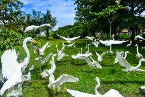 Leia mais sobre o artigo Estação, Mangal e Parque do Utinga estarão abertos no feriado de independência (7)